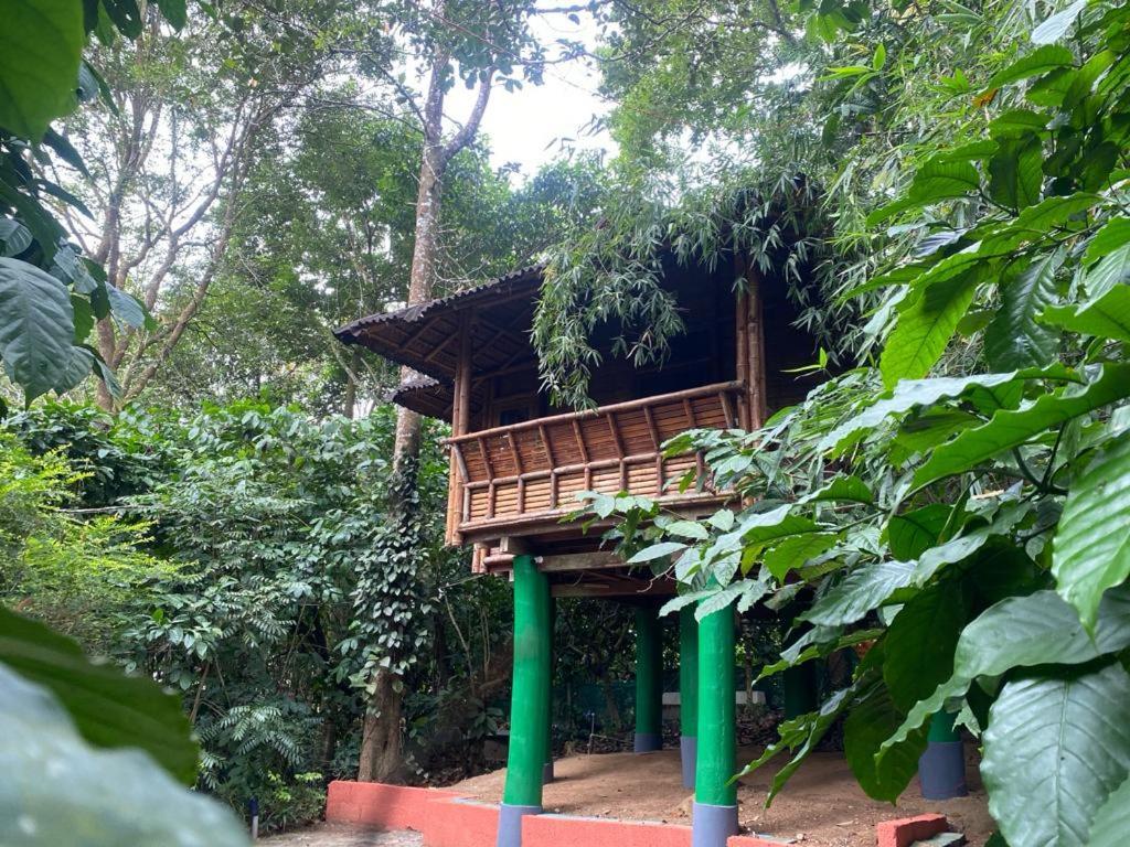 Trekking Trails Eco Stay Kalpetta Exterior photo