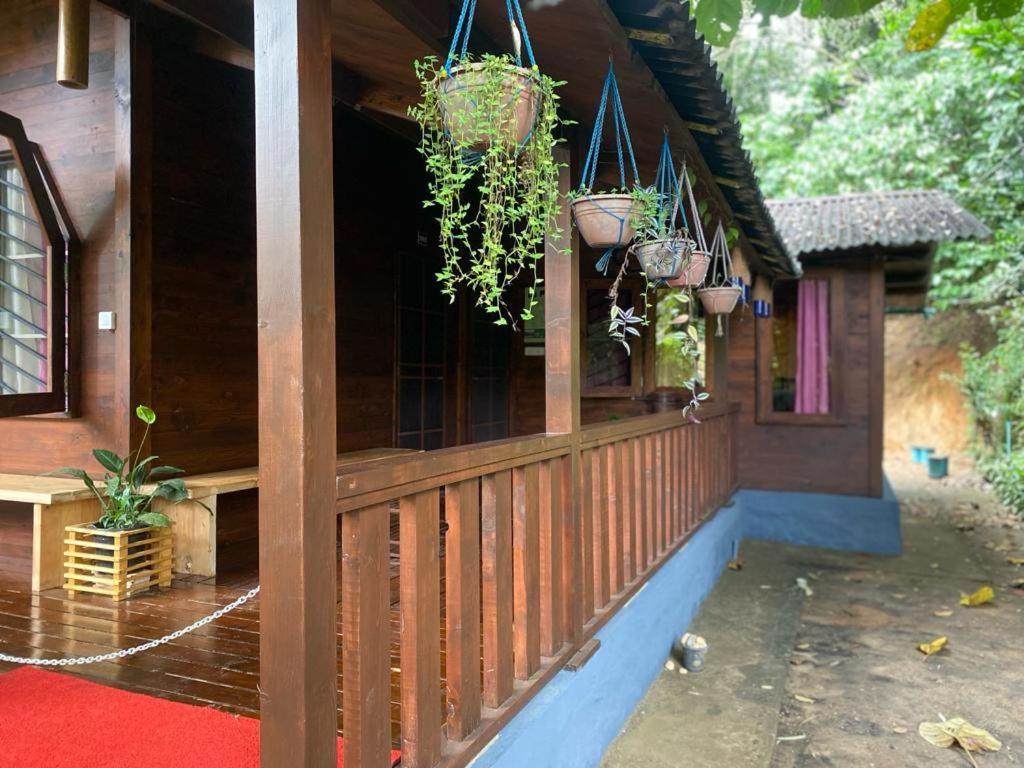 Trekking Trails Eco Stay Kalpetta Exterior photo